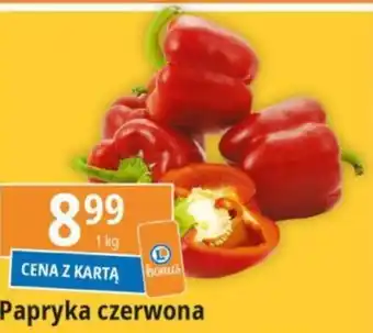 E.Leclerc Papryka czerwona 1kg oferta