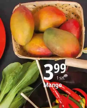 E.Leclerc Mango oferta