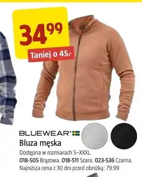 Bluza męska Bluewear