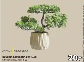 JYSK Sztuczna roślina S! oferta