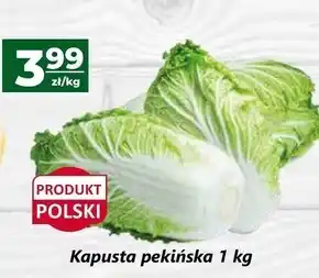 Społem Kapusta pekińska Polski oferta
