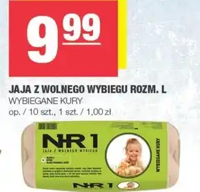 Spar Jaja Wybiegane Kury oferta