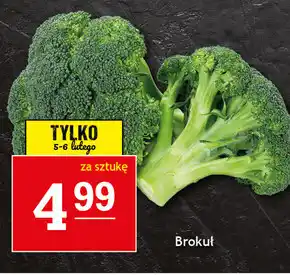 Gram Market Brokuł oferta