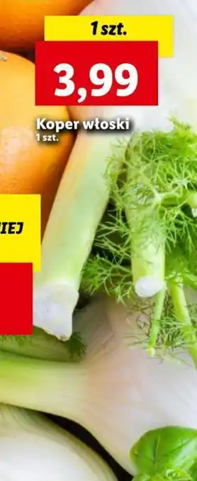 Lidl Koper włoski 1 szt. oferta