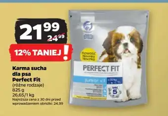 Netto Karma sucha dla psa Perfect Fit 825g oferta