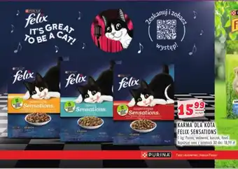 Stokrotka KARMA DLA KOTA FELIX SENSATIONS 1kg oferta
