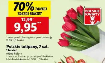 Lidl Polskie tulipany 7 szt. oferta