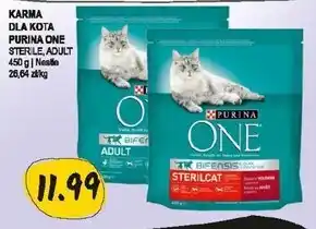 Słoneczko Karma dla kota Purina One oferta