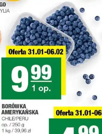 Spar BORÓWKA AMERYKAŃSKA 250 g oferta