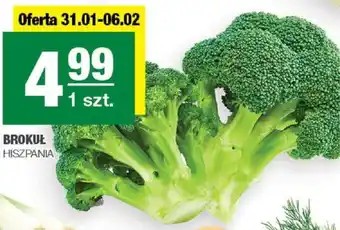 BROKUŁ