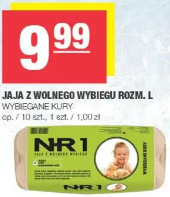 Spar JAJA Z WOLNEGO WYBIEGU ROZM. L oferta