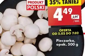 Biedronka Pieczarka 500 g oferta