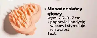 Netto Masażer skóry głowy oferta