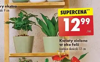 Biedronka Kwiaty zielone weko folii oferta