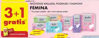 Biedronka WSZYSTKIE WKŁADKI, PODPASKI I TAMPONY FEMINA oferta