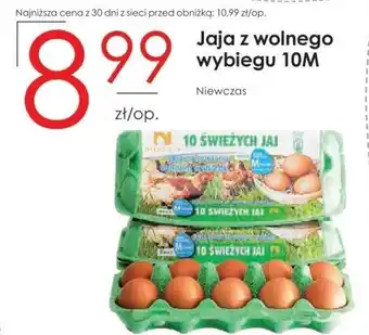 Frac Jaja Niewczas oferta