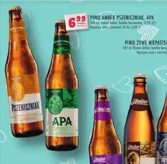 Stokrotka PIWO AMBER PSZENICZNIAK, APA 500ml oferta
