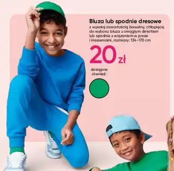 Pepco Bluza lub spodnie dresowe oferta
