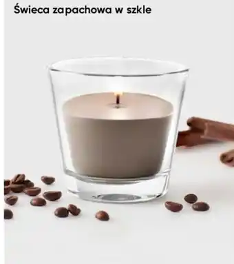 Pepco Świeca zapachowa w szkle oferta