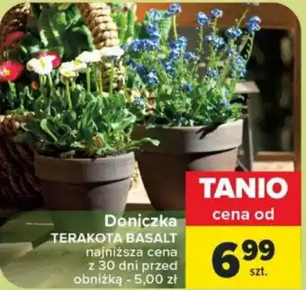 Carrefour Market Doniczka oferta