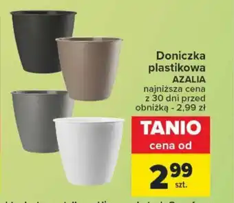 Carrefour Market Doniczka plastikowa oferta