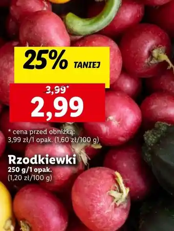 Lidl Rzodkiewki oferta