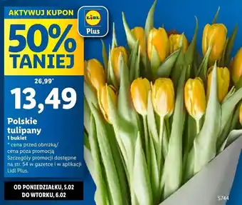 Lidl Bukiet tulipanów oferta