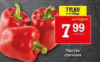 Gram Market Papryka oferta
