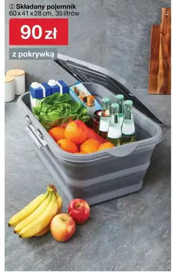 Woolworth Pojemnik składany oferta