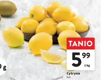 Intermarche Cytryna 1 kg oferta