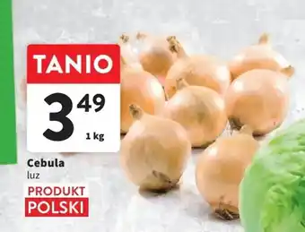 Intermarche Cebula 1 kg oferta