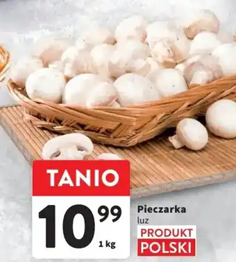 Intermarche Pieczarka 1 kg oferta