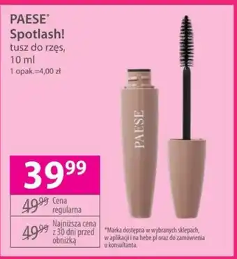 Hebe Tusz do rzęs Paese oferta