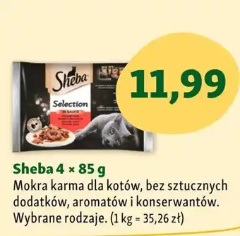 Maxi Zoo Mokra karma dla kota Sheba oferta