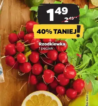 Netto Rzodkiewka 1 pęczek oferta