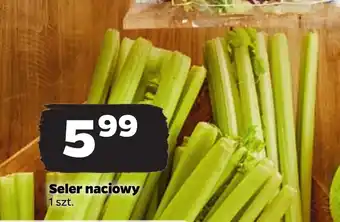 Seler naciowy 1 szt.