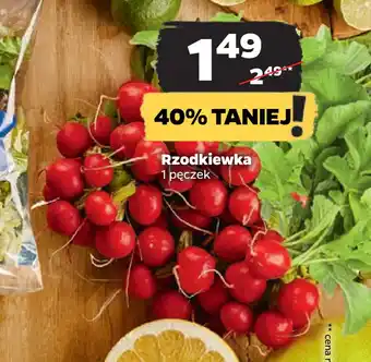 Netto Rzodkiewka oferta