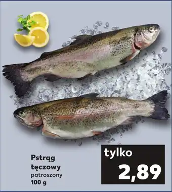 Kaufland Pstrąg tęczowy 100 g oferta