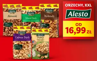 Lidl ORZECHY, XXL Alesto oferta