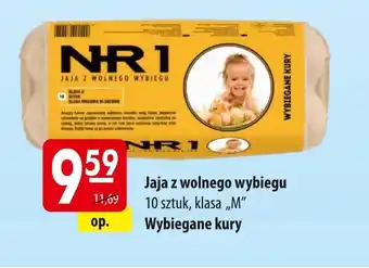 MOKPOL Jaja Wybiegane Kury oferta