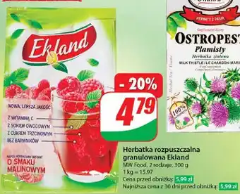 Dino Herbata malinowa Ekland oferta