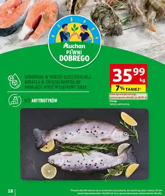 Auchan Pstrąg patroszony Auchan pewni dobrego oferta