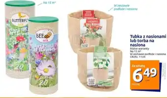 Action Nasiona kwiatów oferta