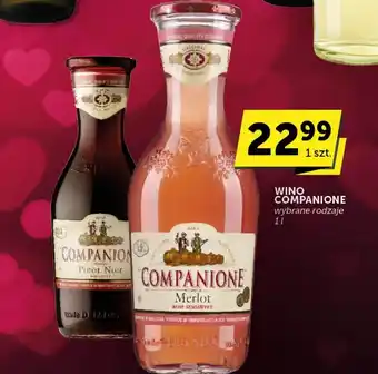 Groszek Wino Companione oferta