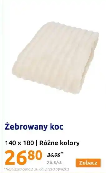 Action Koc oferta