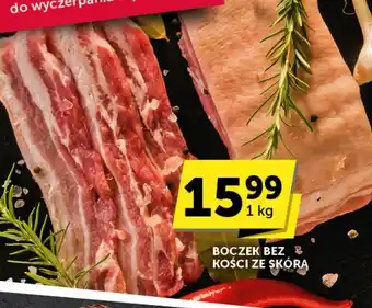 Groszek Boczek oferta