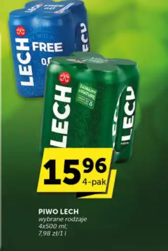Groszek Piwo Lech oferta