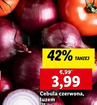 Lidl Cebula czerwona oferta