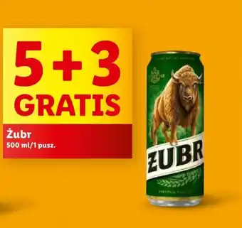 Lidl Żubr 500 ml oferta