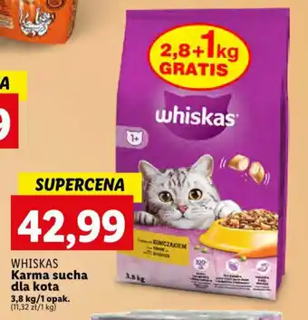 Lidl WHISKAS Karma sucha dla kota 3,8 kg oferta
